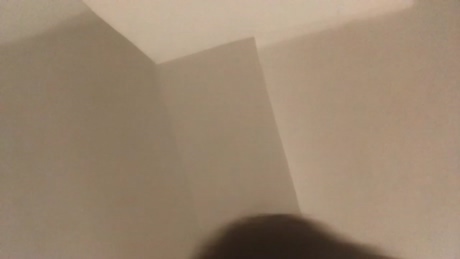 justaboykinkynow22  22-01-2022